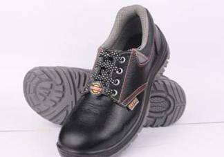 Double Colour Safety Shoes Manufacturers in Delhi